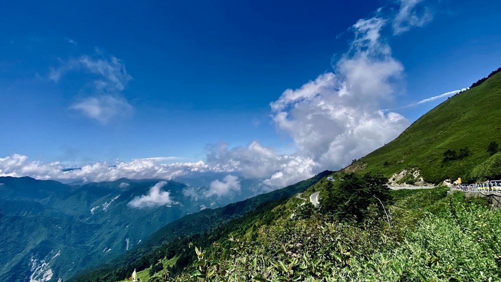 green grass field under blue sky and white clouds during daytime