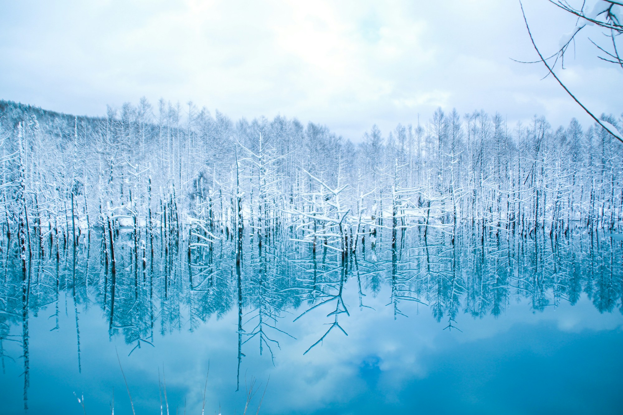 Hokkaido Cuisine: Local Dishes, Restaurants & Recipes