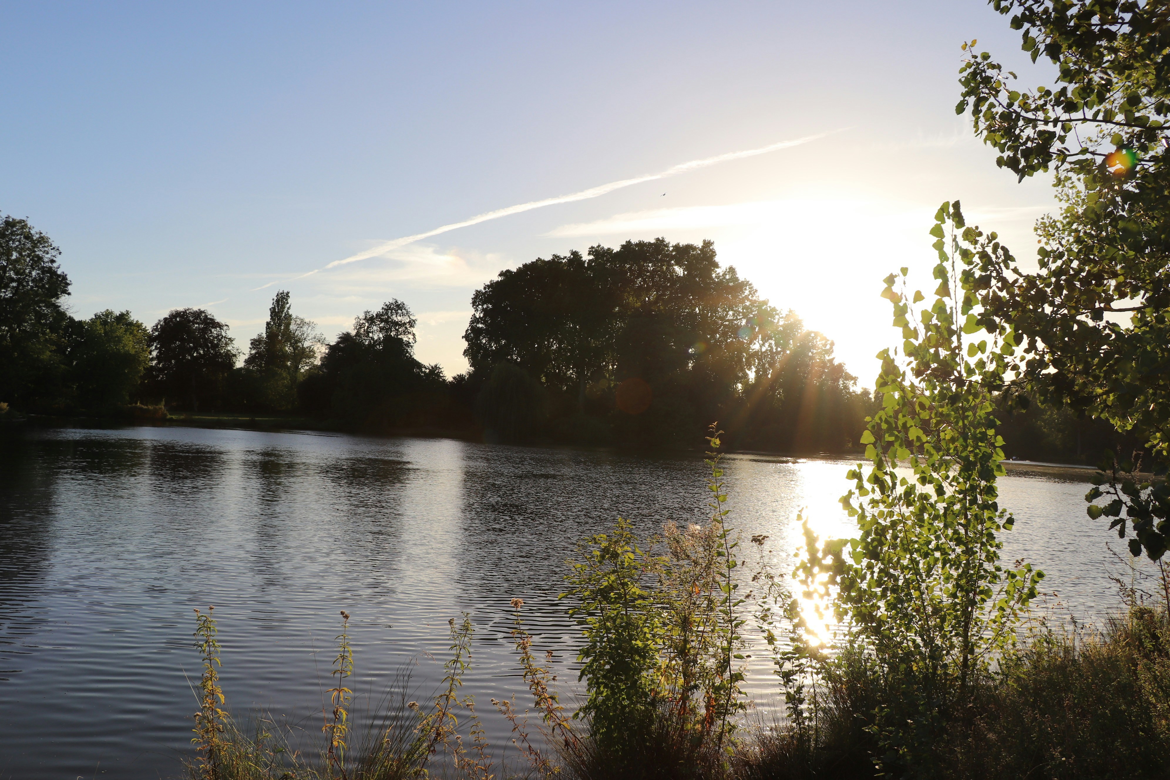 Photo by isaacarnault