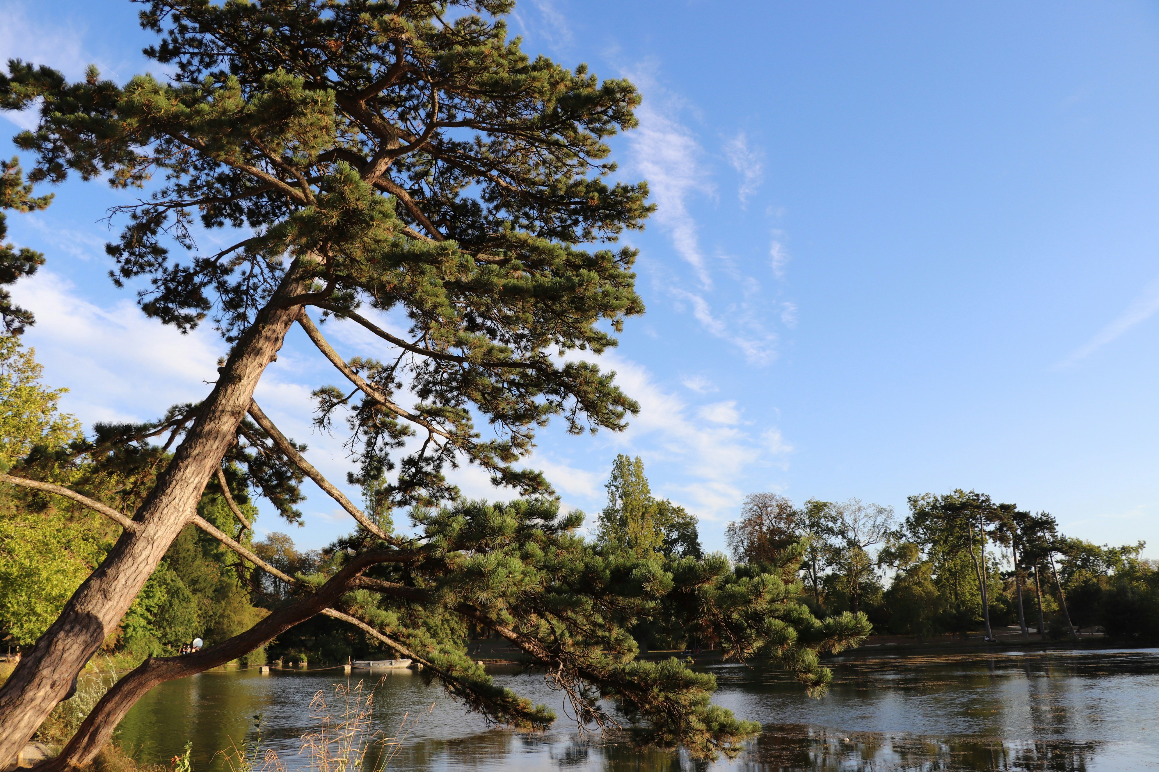 Photo by isaacarnault