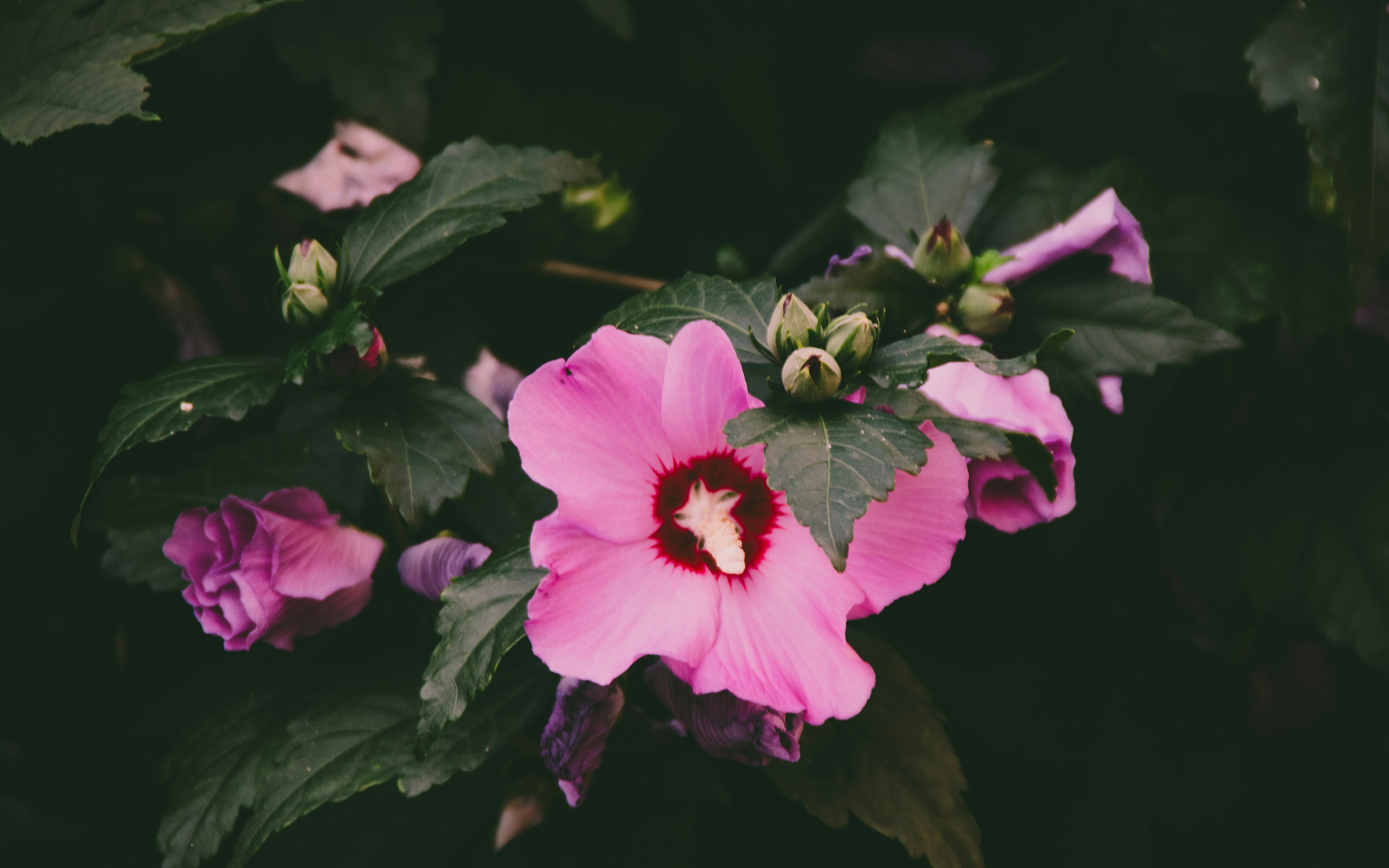 Photo by einfachlaurenz