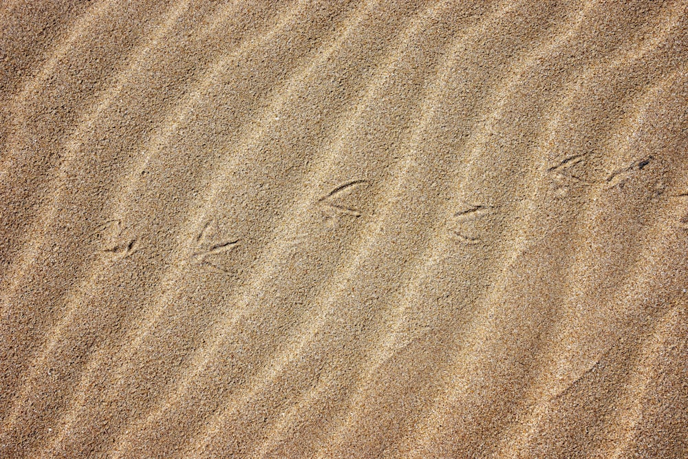 brown sand with brown sand