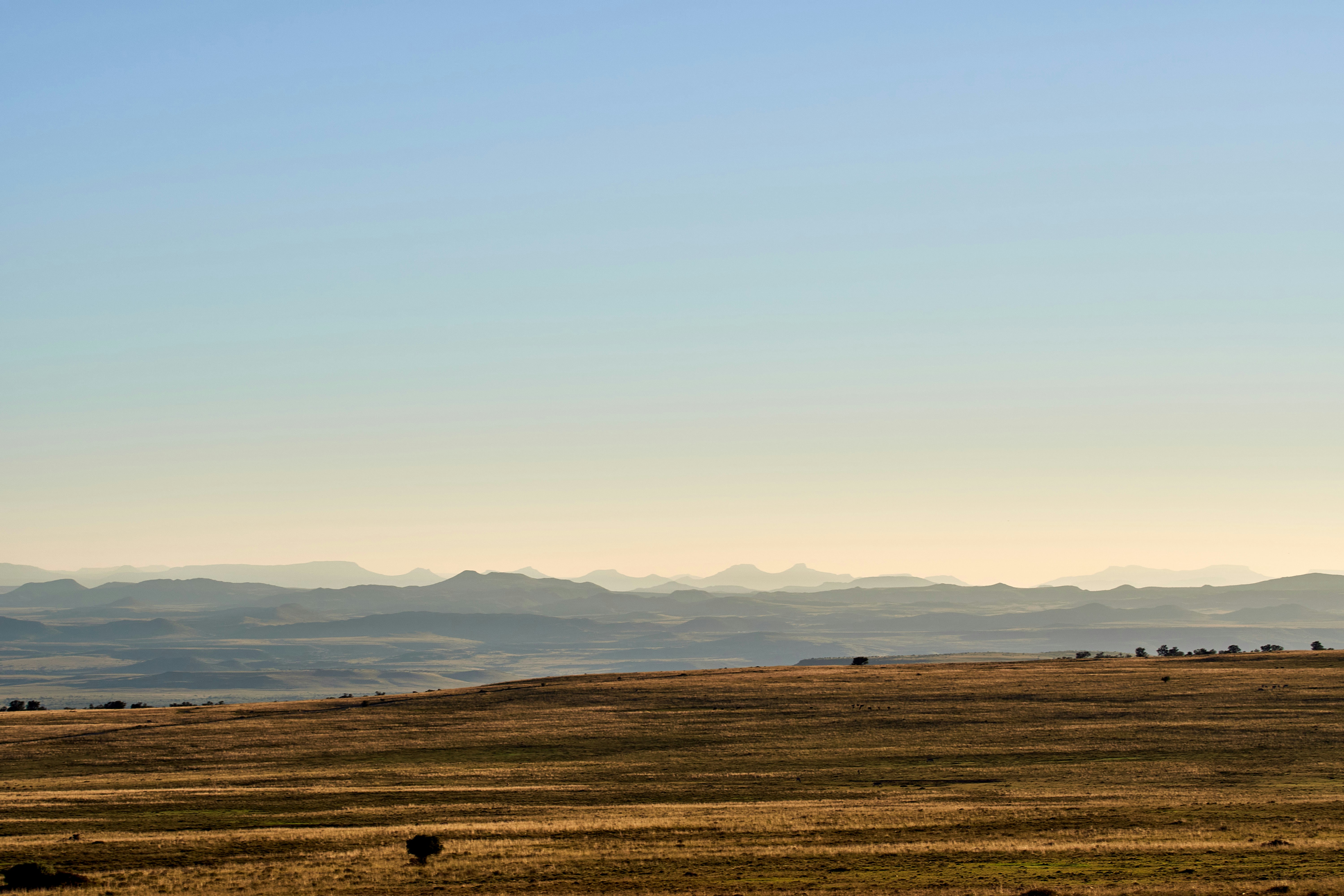 Photo by wolfgang_hasselmann