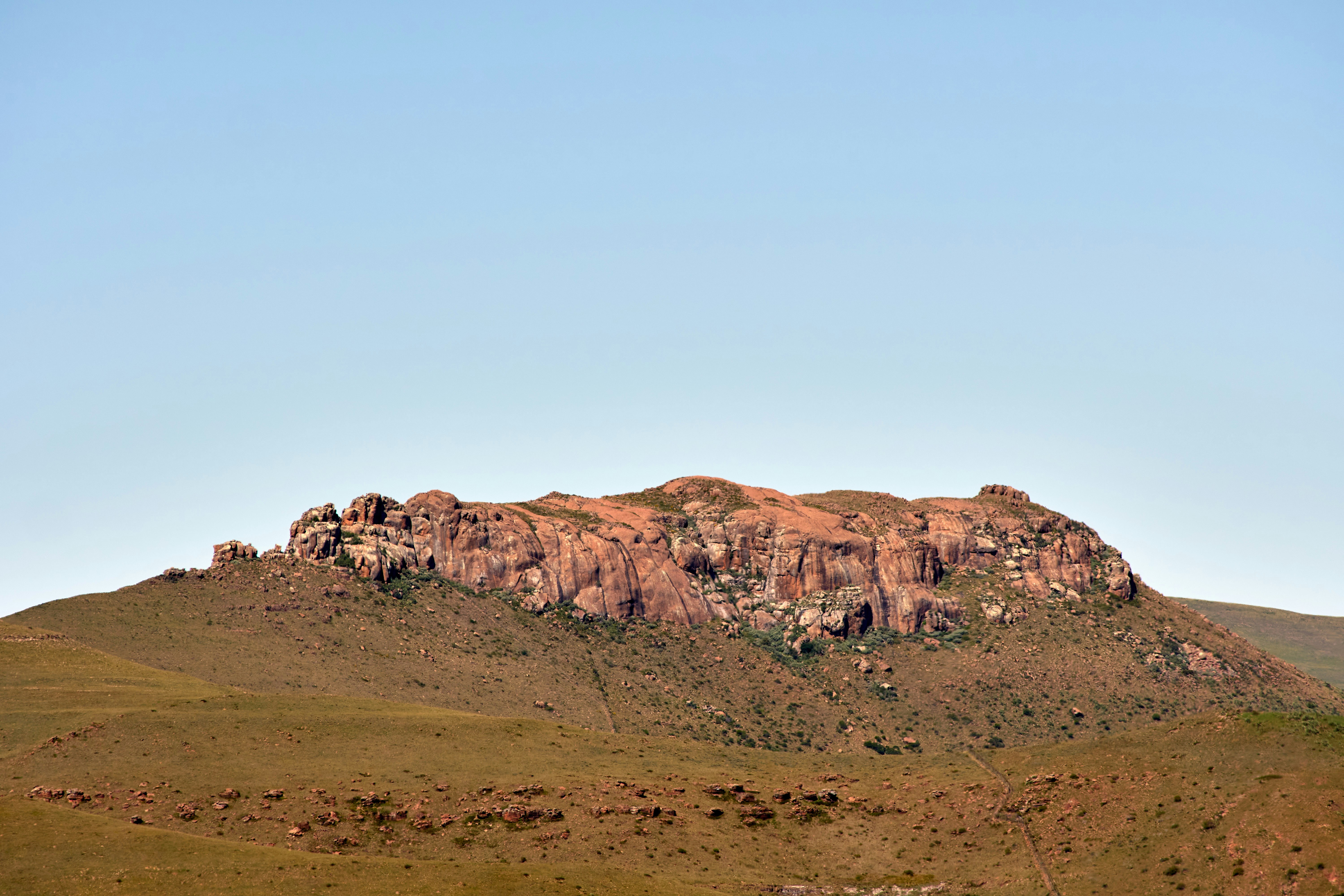 Photo by wolfgang_hasselmann