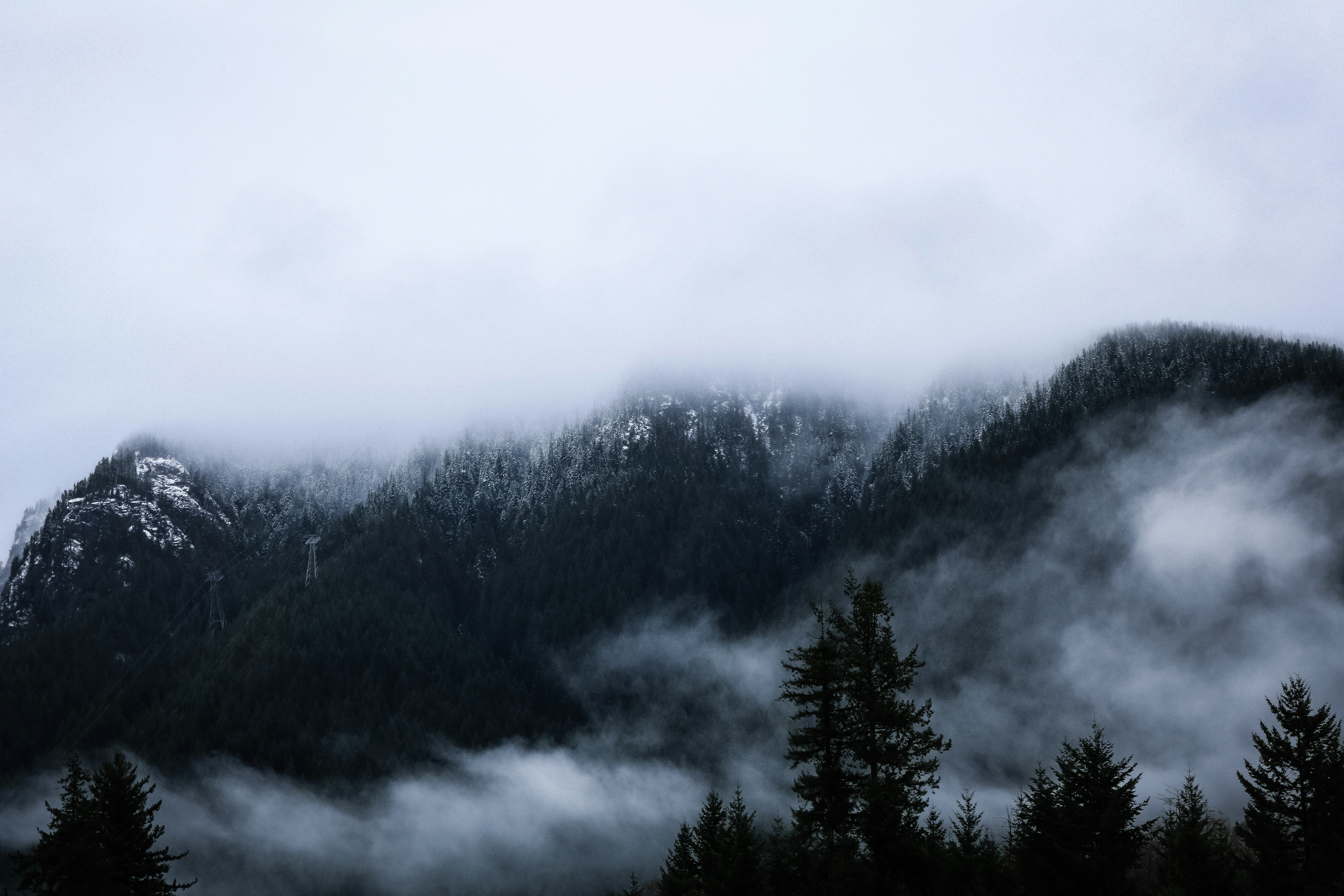 Photo by milestogobeforeisleep