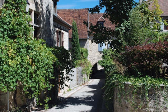 green trees beside gray concrete road in Martel France