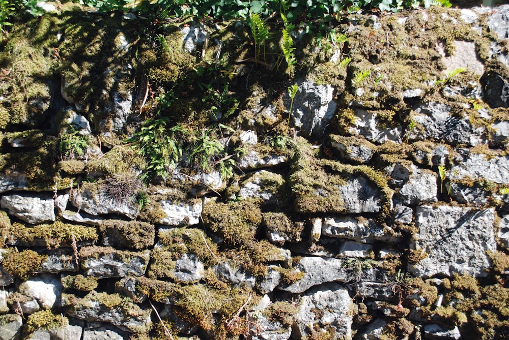 gray and black stone wall