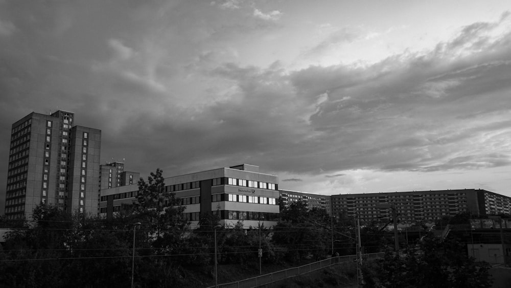 grayscale photo of trees and buildings