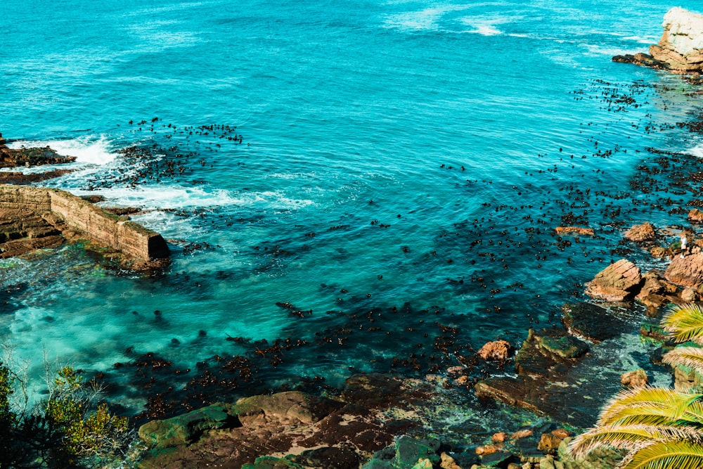 Formación de rocas marrones en el cuerpo de agua durante el día