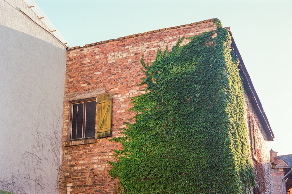 green grass near brown brick house