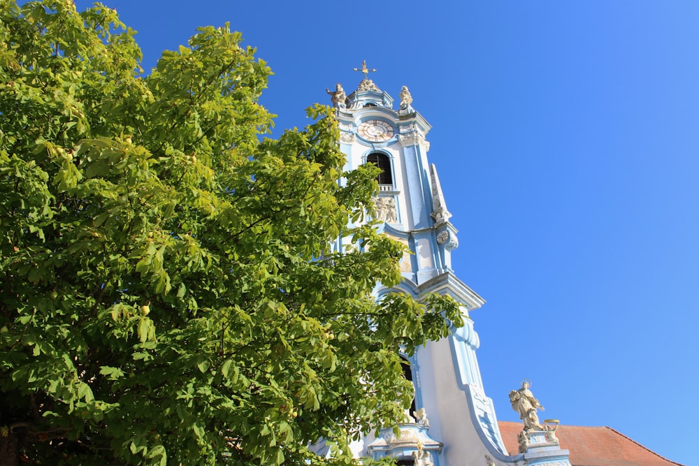 Edificio de hormigón blanco cerca de un árbol verde bajo el cielo azul durante el día