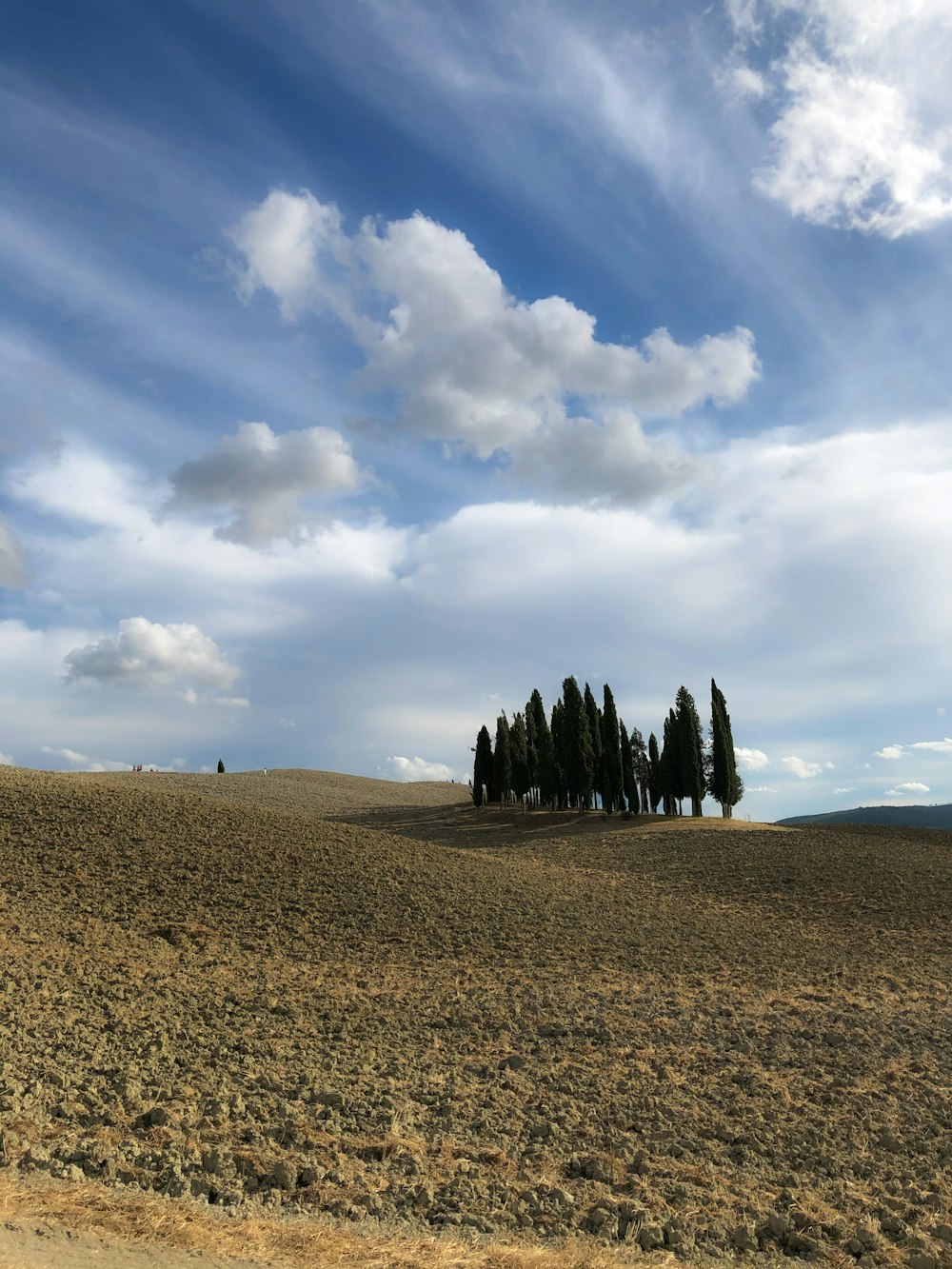 green trees on brown field under white clouds and blue sky during daytime