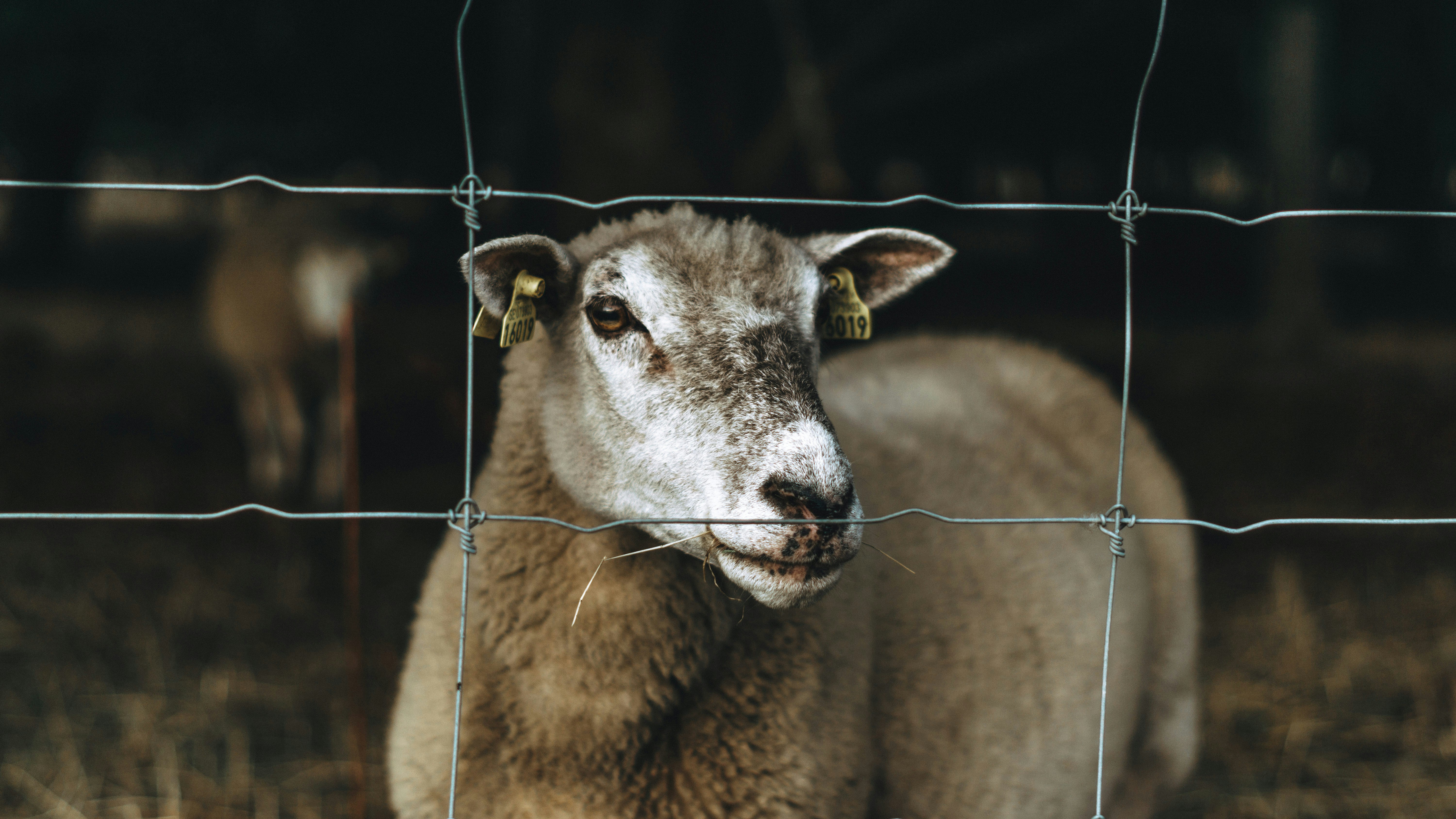 Photo by dead__angel_