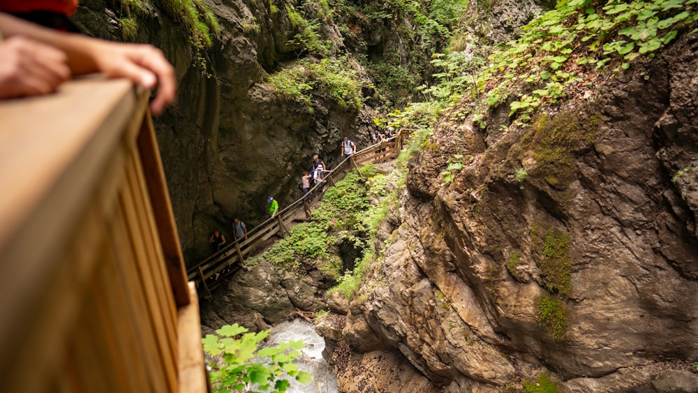 people walking on hanging bridge over river during daytime