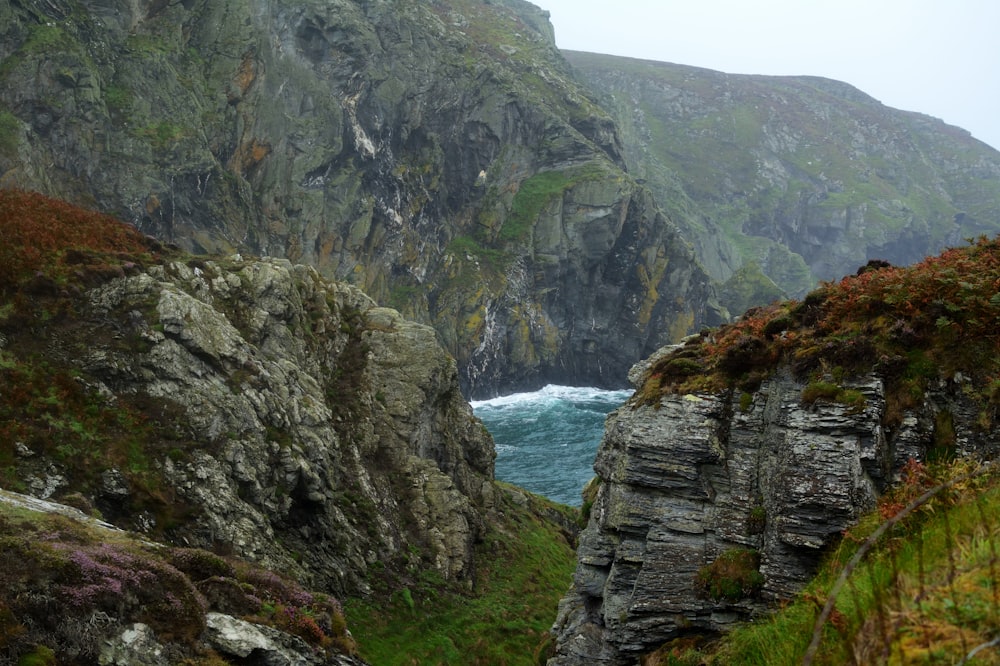 erba verde e montagna rocciosa vicino allo specchio d'acqua durante il giorno