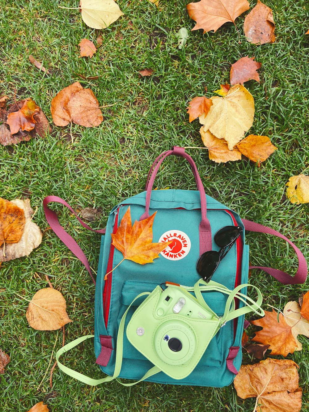 blue and pink leather handbag on green grass