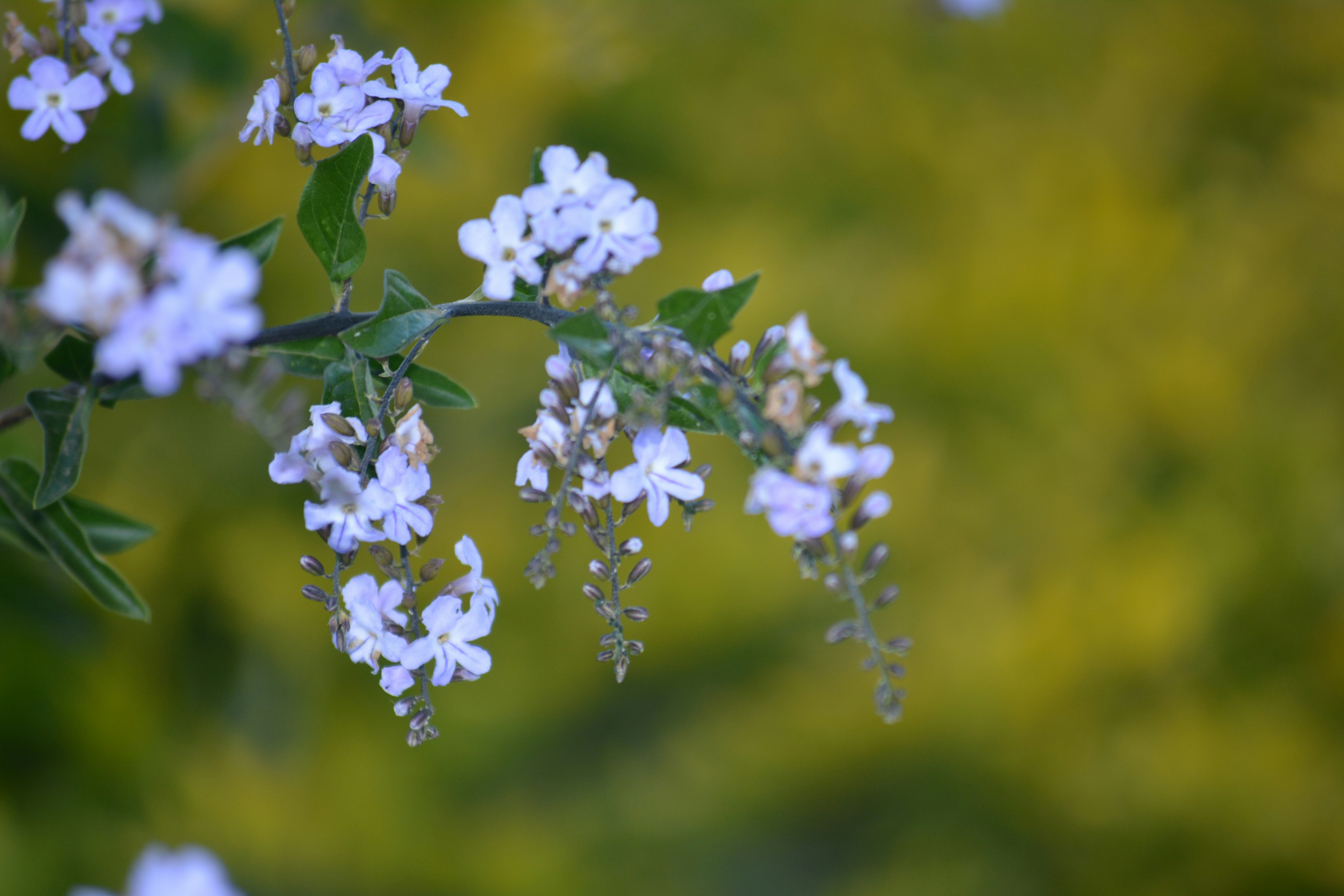 Photo by latia_visual_photography