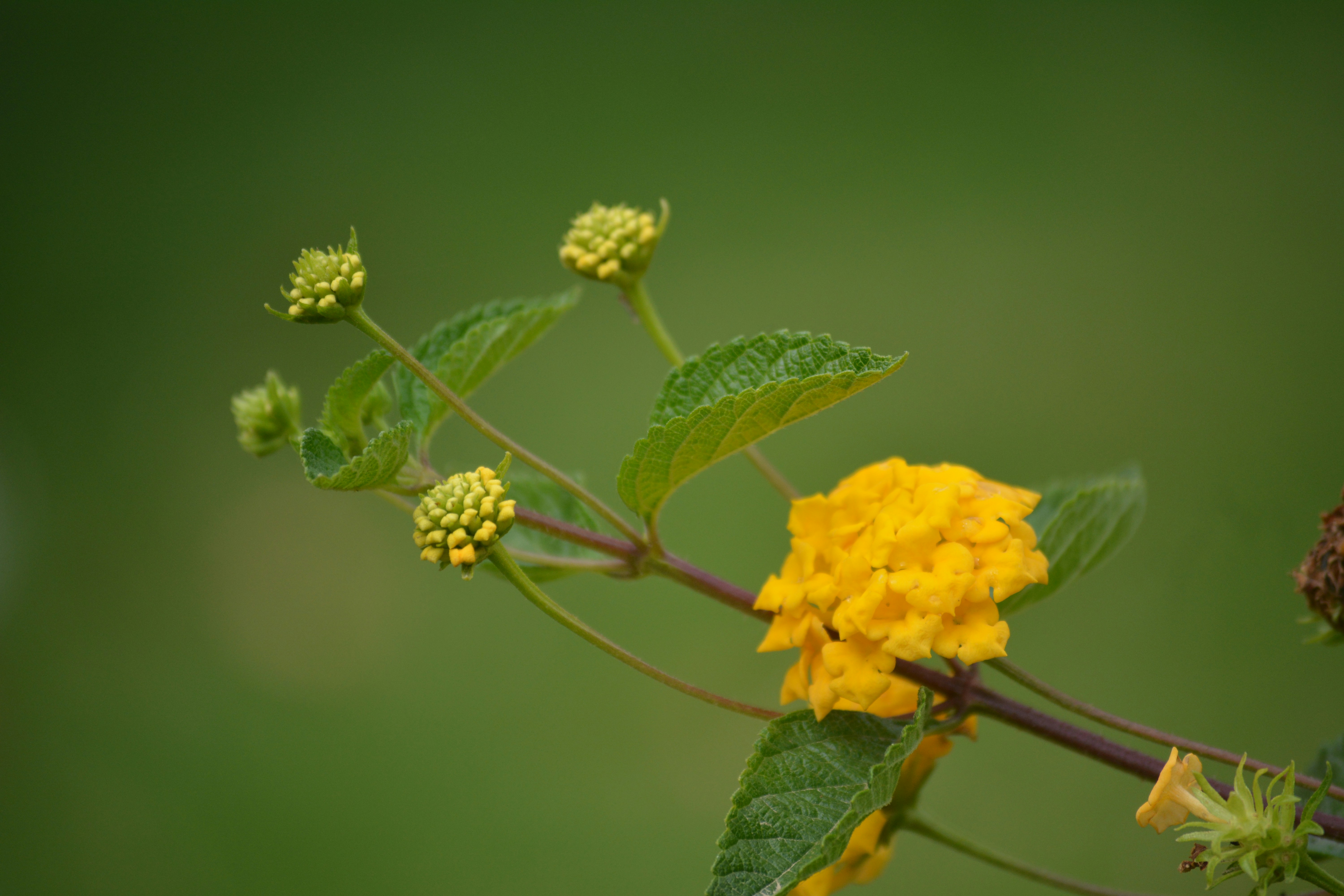 Photo by latia_visual_photography