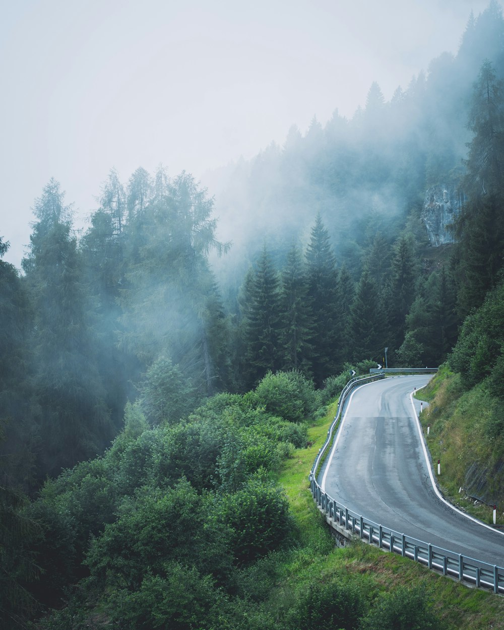 昼間は霧に覆われた緑の木々の間の灰色のコンクリート道路