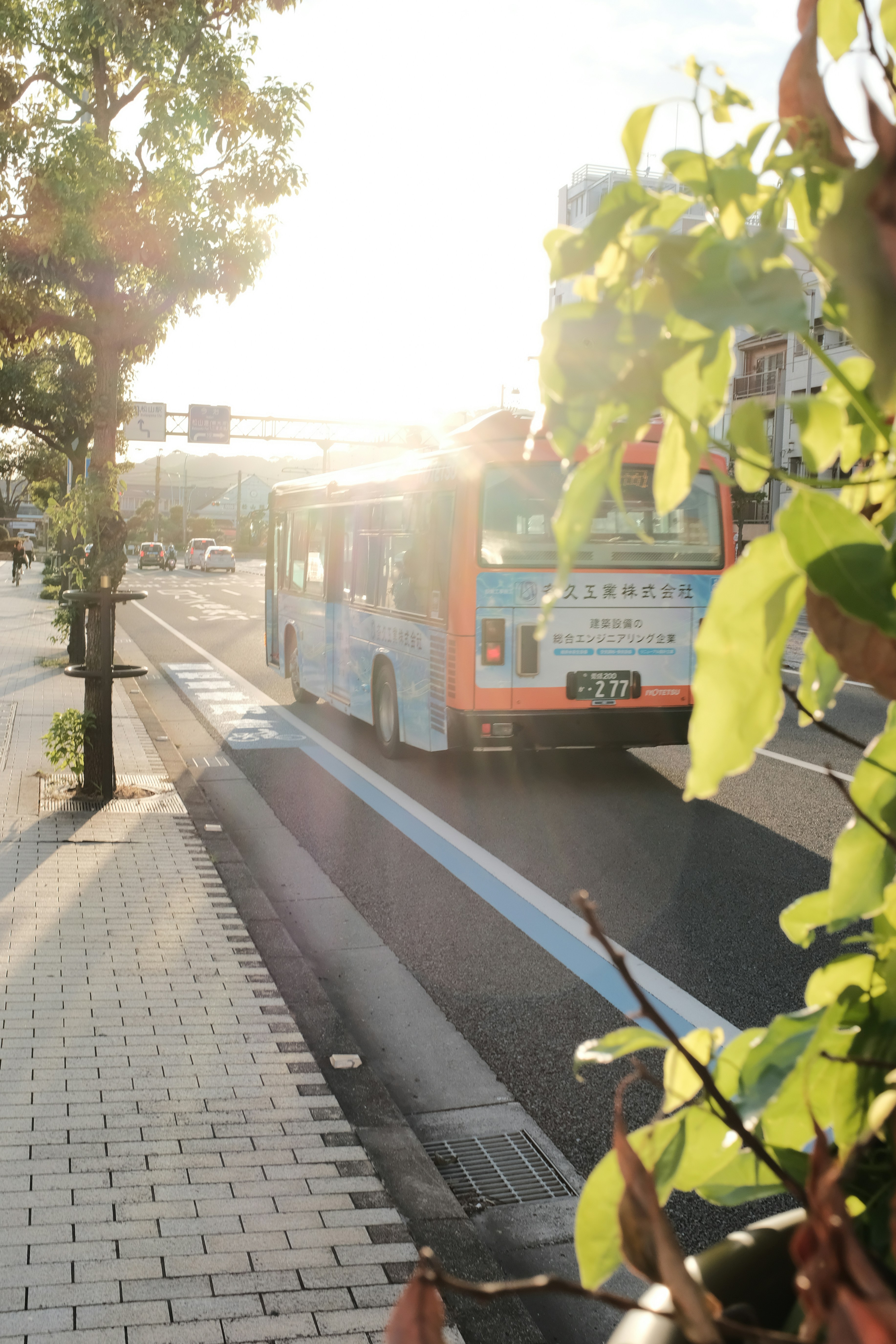 Photo by mak_jp