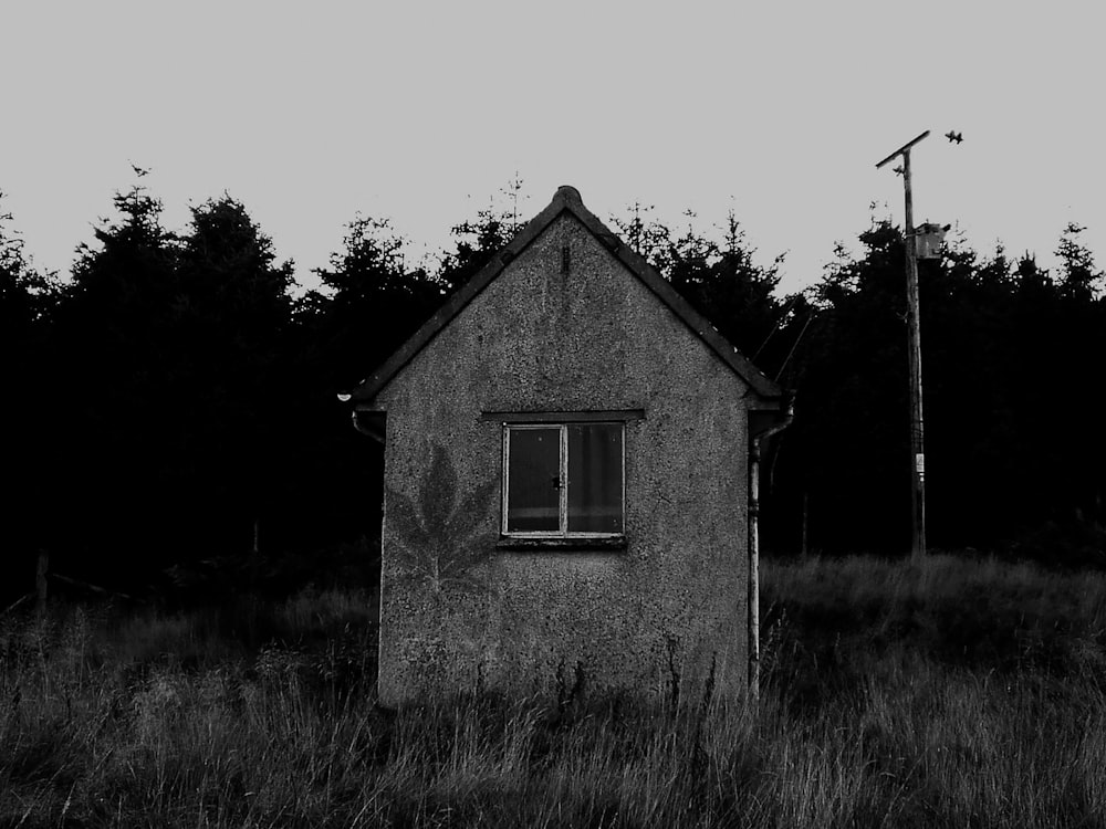 grayscale photo of house in the middle of grass field