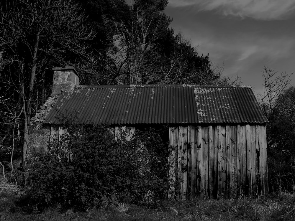 grayscale photo of wooden house near trees