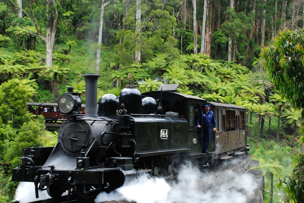 black train on rail track surrounded by green trees during daytime