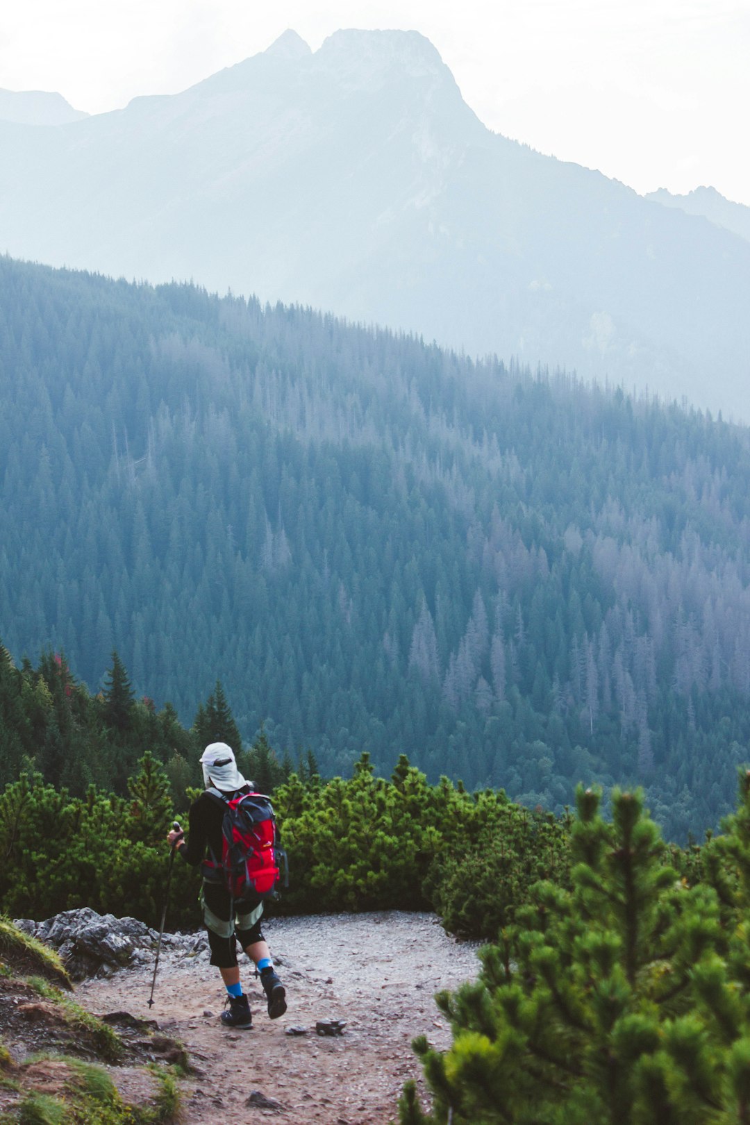 2 person sitting on rock near green trees during daytime