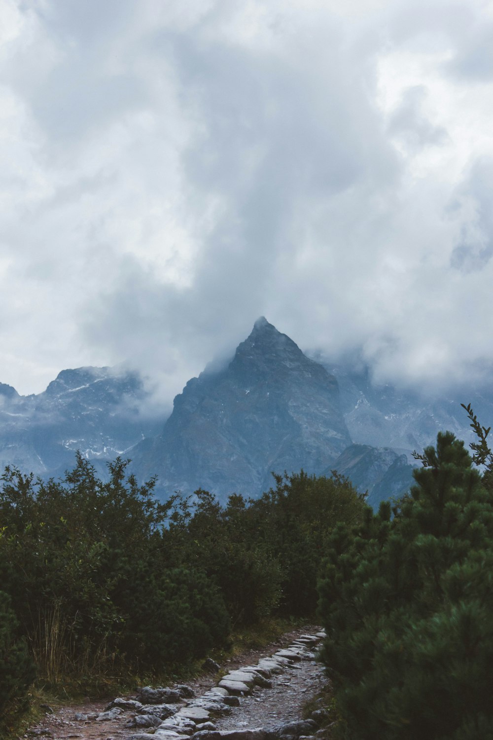 Grüne Bäume in der Nähe von Bergen unter weißen Wolken während des Tages