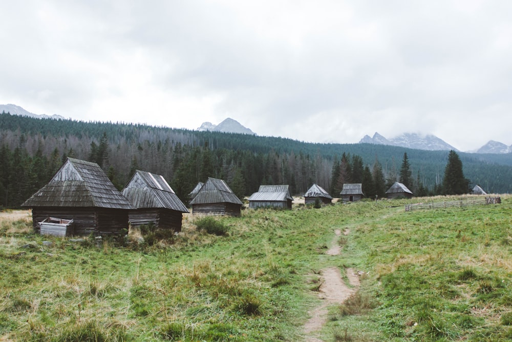 Braunes Holzhaus auf grünem Grasfeld in der Nähe von grünen Bäumen und Bergen tagsüber