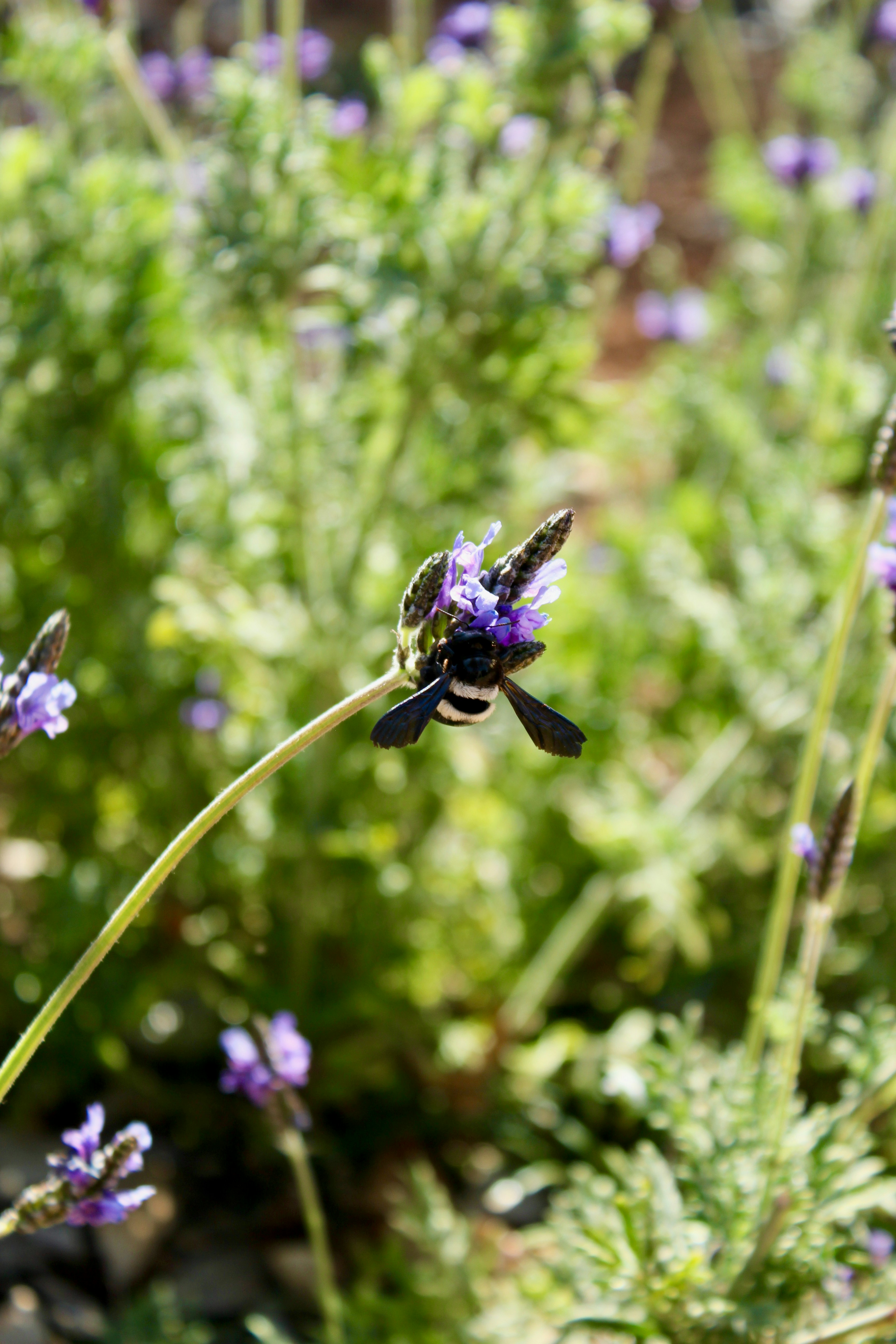 Photo by pieterbouwer