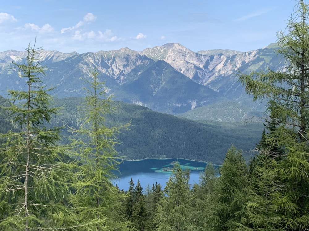 green trees near lake and mountains during daytime