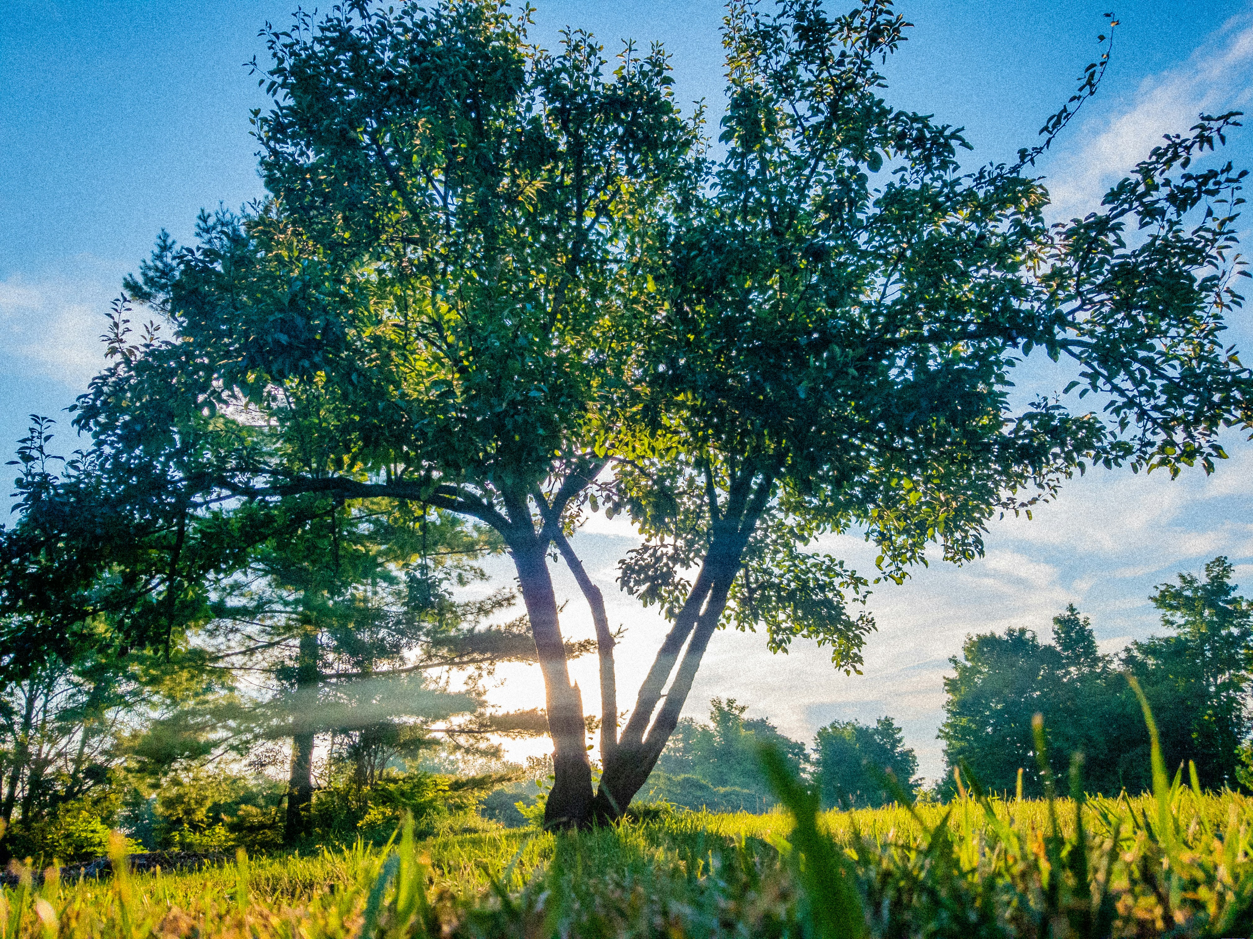 Photo by germaine1989