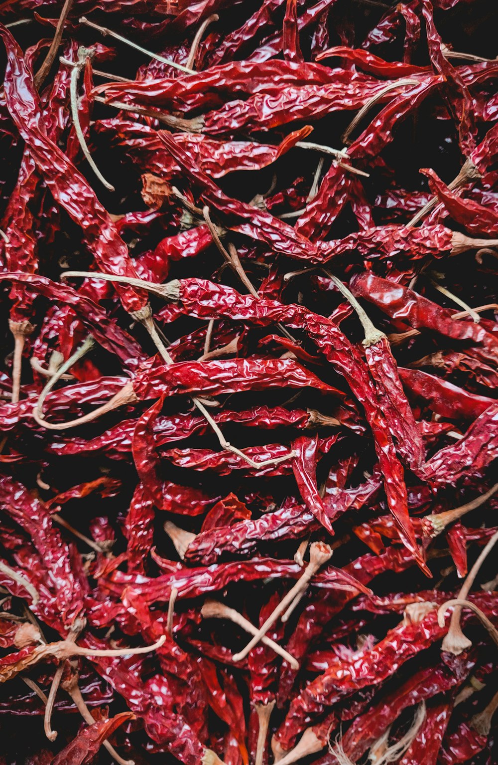 red and white dried leaves