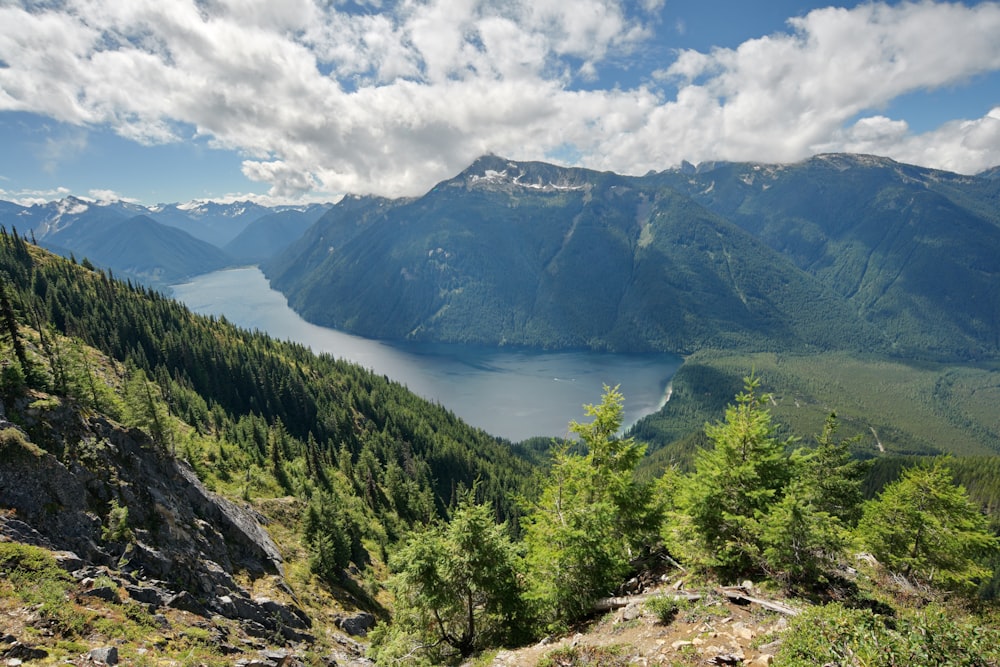 green trees on mountain near body of water under white clouds during daytime