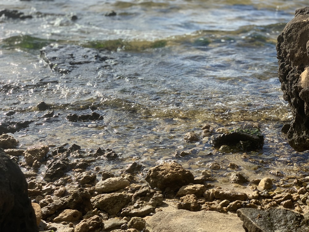 brown rocks on seashore during daytime