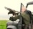 A person wearing a green jacket is handling a bird of prey from an open car door. The bird, likely a hawk, is perched on the person's gloved hand with wings partially spread. The background features a grassy field and a hazy sky.