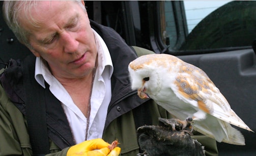 A man wearing a white shirt and an olive green jacket is holding a barn owl on a gloved hand. The orange, white, and brown-feathered owl seems to be pecking at something in the man's yellow-gloved hand. They appear to be standing in front of a dark vehicle.