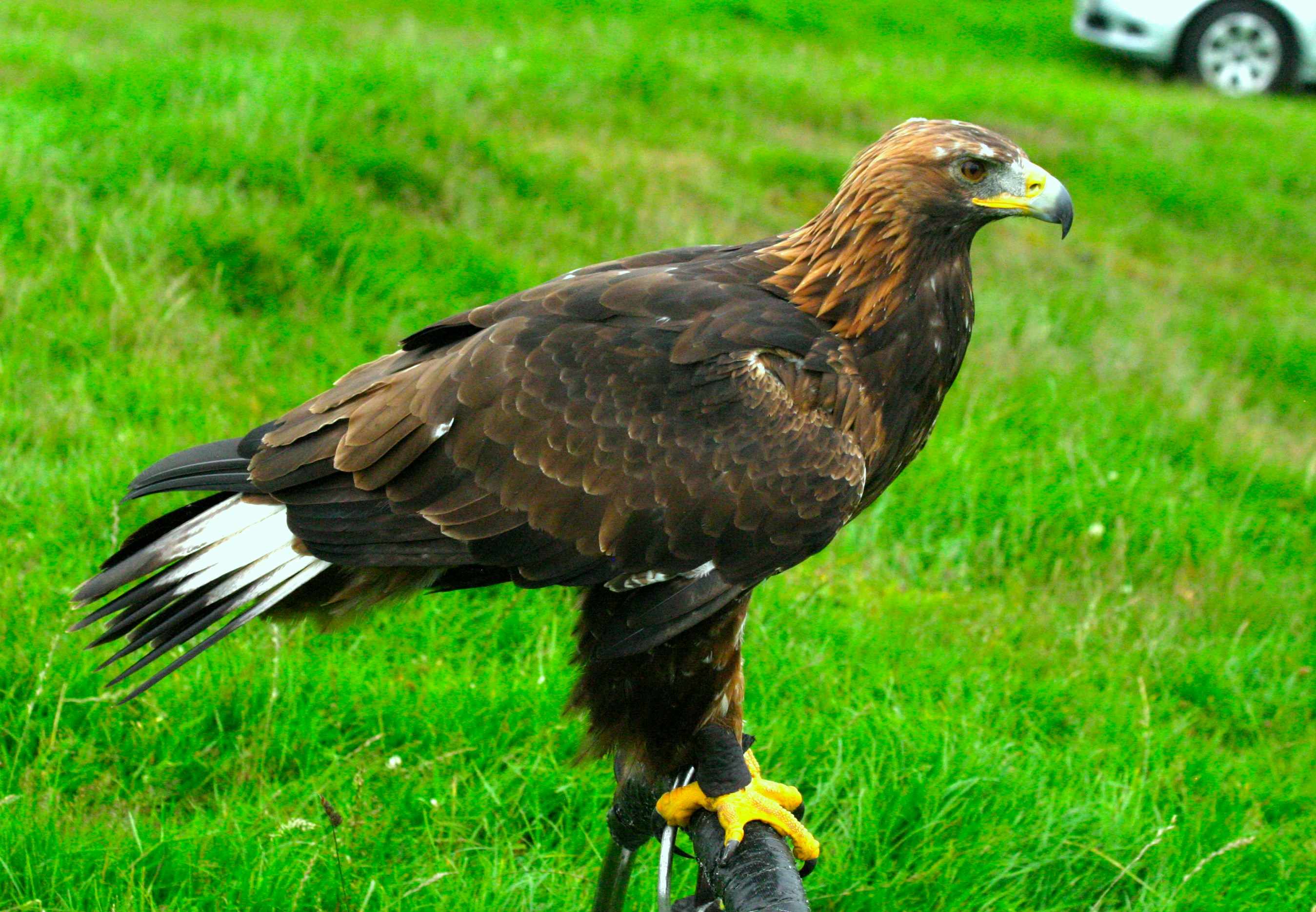 Photo by professorpatrick