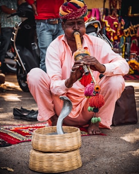 A man wearing a colorful turban and a light pink outfit is playing a traditional musical instrument, a pungi, seated on the ground. In front of him, a snake is emerging from a wicker basket. The background includes vibrant textiles and a parked scooter.