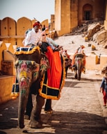 man in white long sleeve shirt riding elephant during daytime