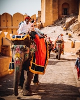 man in white long sleeve shirt riding elephant during daytime