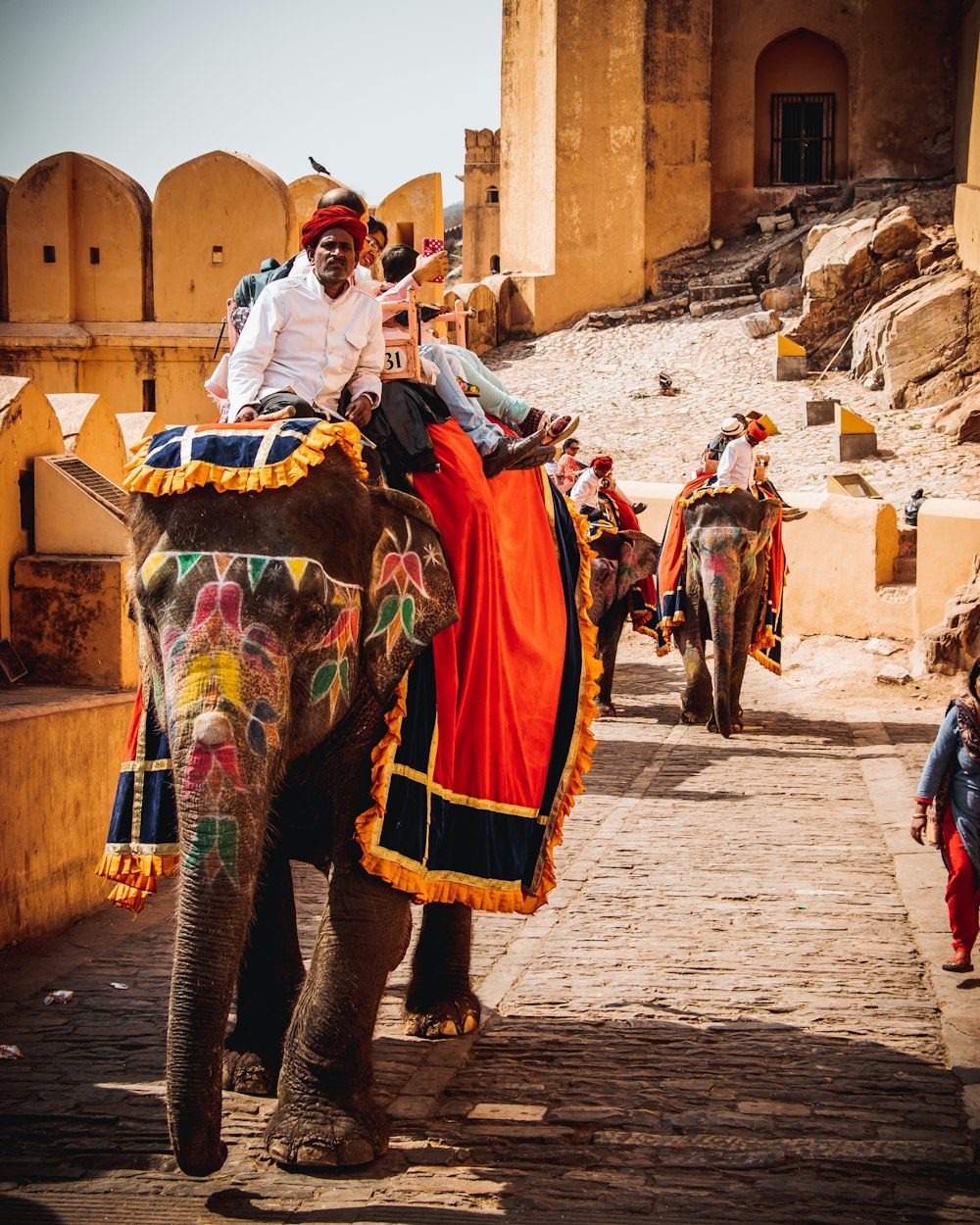 man in white long sleeve shirt riding elephant during daytime