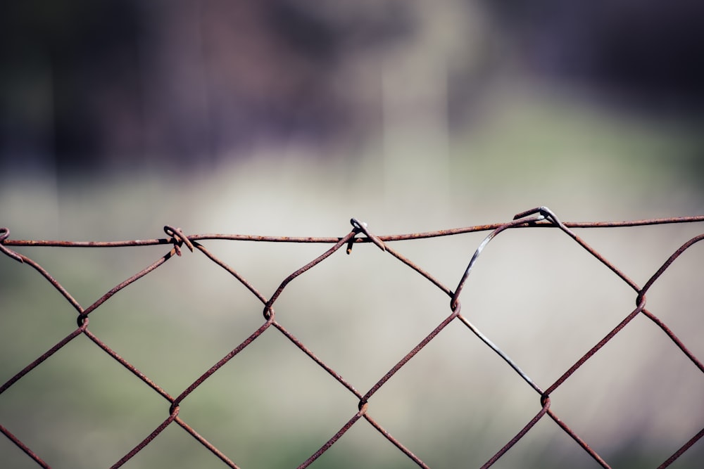 gray metal fence with barbwire