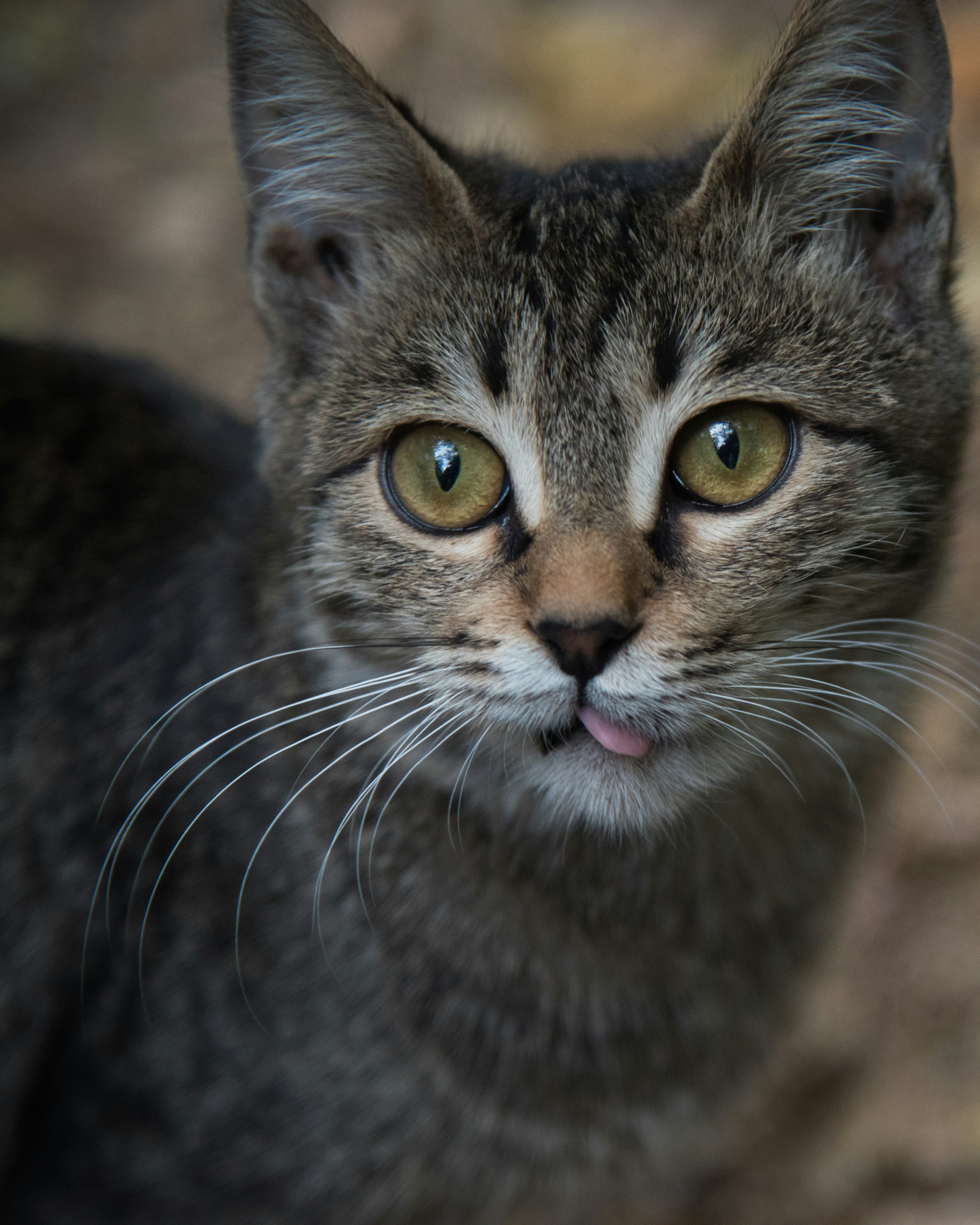 Photo by rafael_ishkhanyan