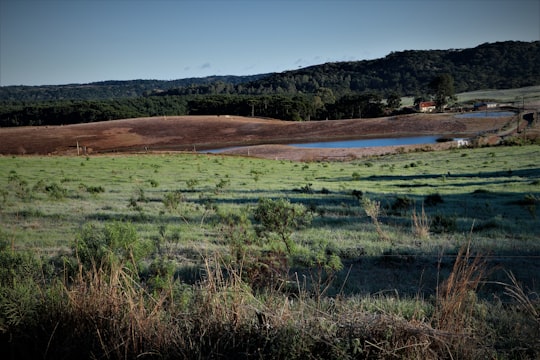 green grass field under blue sky during daytime in Cambará do Sul Brasil