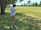 A person wearing a cap, a striped short-sleeve shirt, and khaki shorts is swinging a golf club in a grassy area surrounded by trees. The landscape includes a well-maintained golf course with green grass and a few trees lining the horizon under a clear sky.
