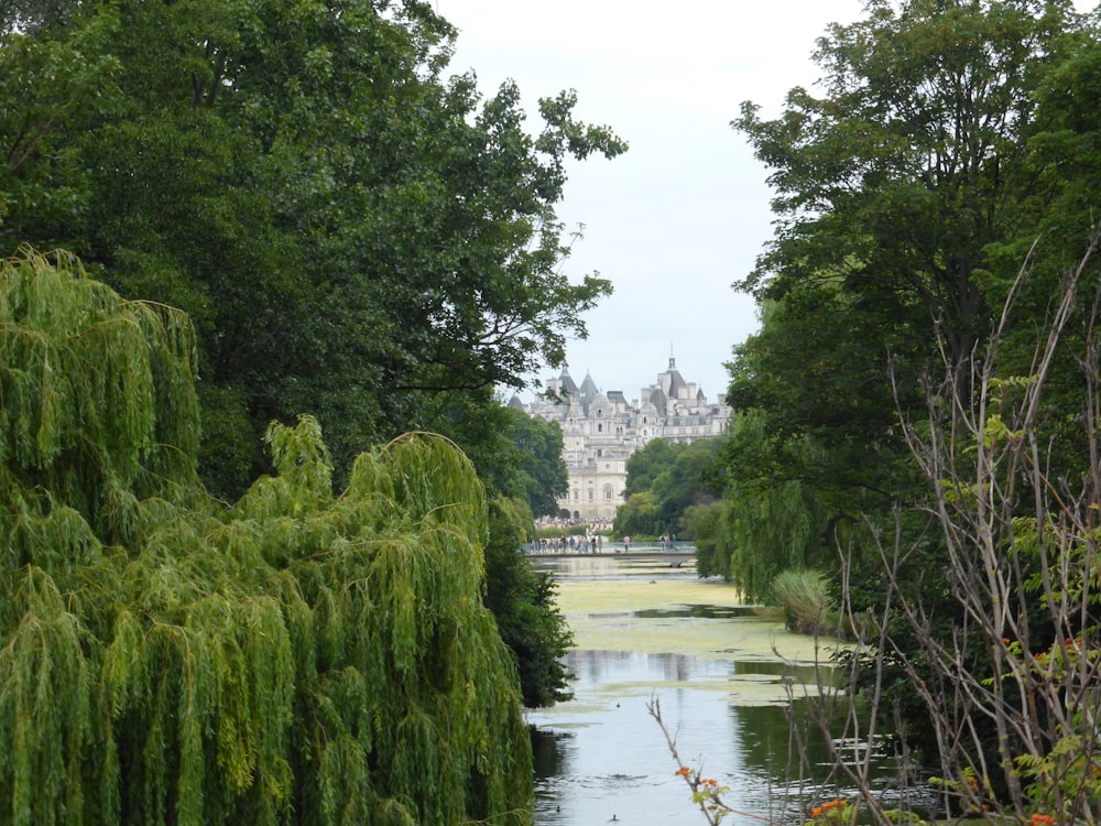 green trees beside river under white sky during daytime