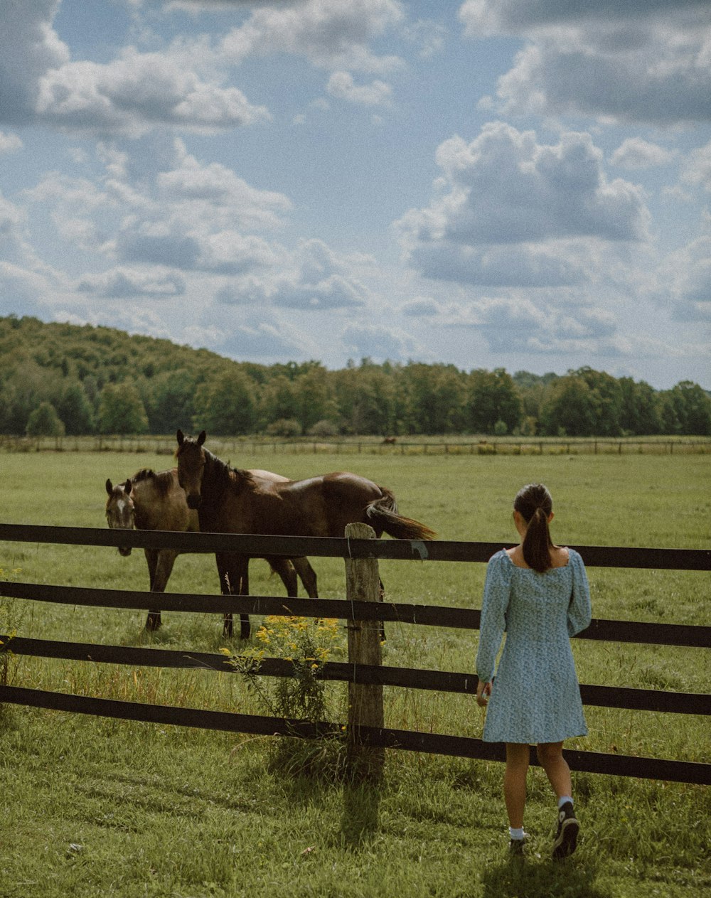 woman in blue dress standing beside brown horse during daytime