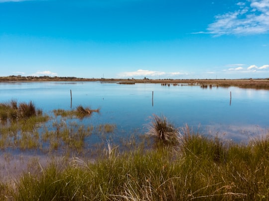 photo of Saint-Laurent-d'Aigouze Nature reserve near Pont du Gard